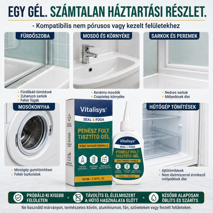 Vitalisys® Mély penészfolt-tisztító gél 👑 – Sűrű, tapadó formula fugákhoz, tömítésekhez és nedves sarkokhoz 💖